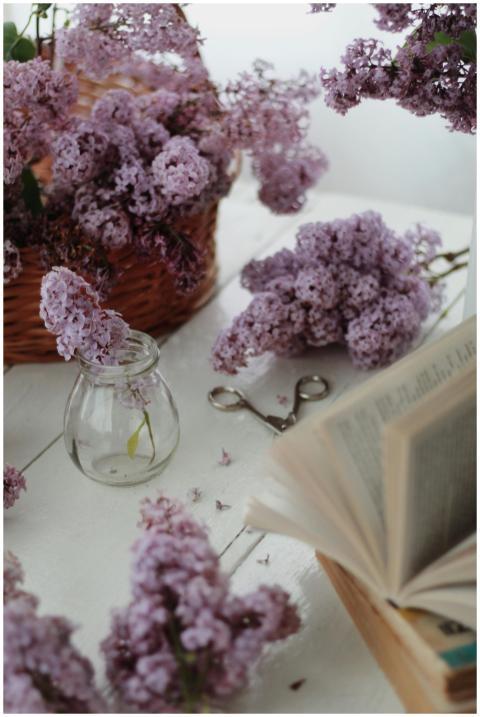 High angle arrangement of wicker basket with bloom
