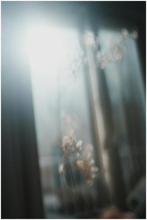 A dreamy, blurred silhouette of flowers against a