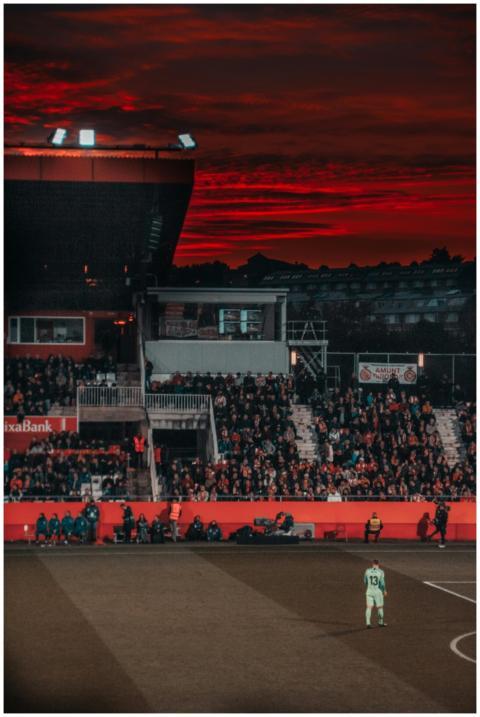 A vibrant soccer match in a stadium with spectator