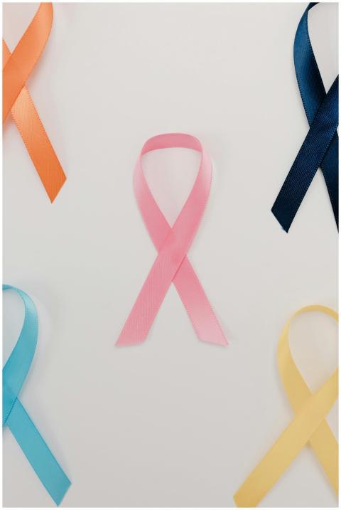 A flatlay of various colored ribbons symbolizing d