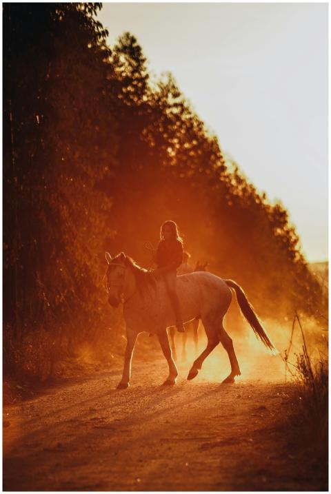 Unrecognizable person riding horse on rural road n