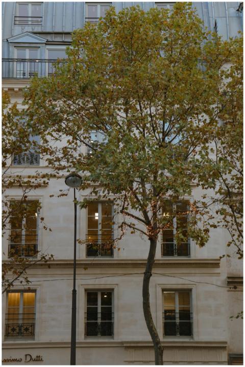 Charming Parisian building facade adorned with aut