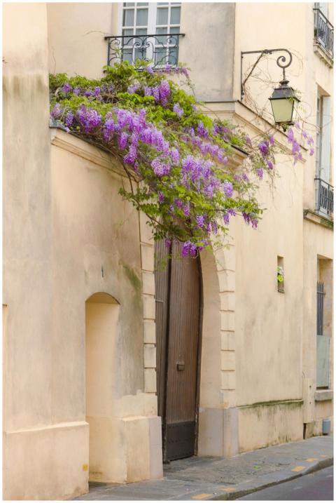 Beautiful Paris street scene featuring classic arc
