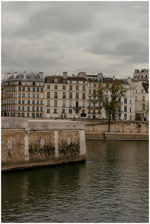 Elegant Parisian buildings overlooking the Seine R