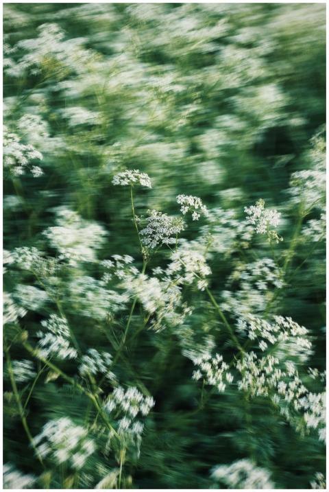 A dynamic, blurred photo capturing the essence of