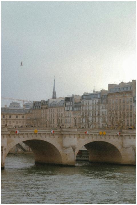 Charming Paris cityscape with iconic bridge, river