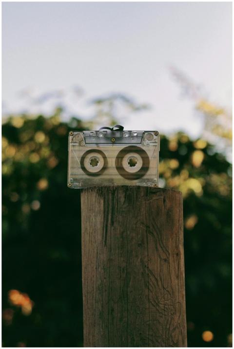 A vintage cassette tape on a tree stump against a