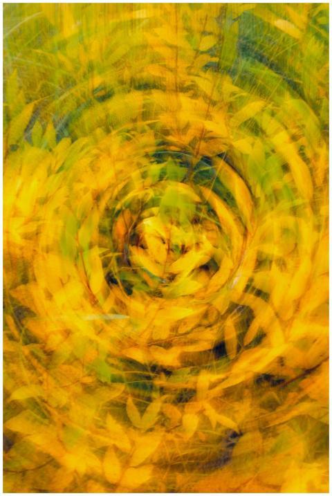 Vibrant abstract image with swirling yellow floral