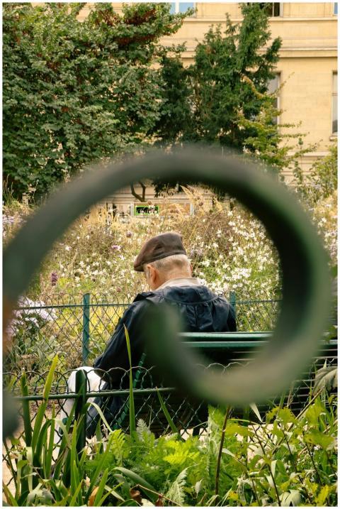 Senior man sitting on a bench in a serene Paris ga