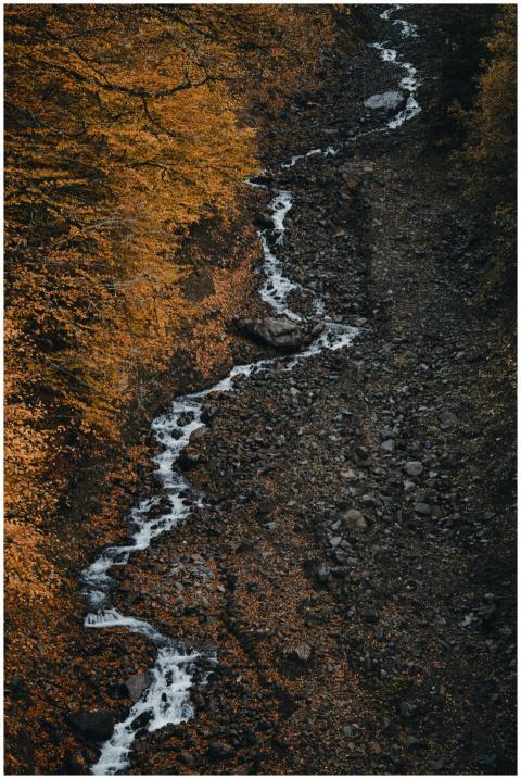 A picturesque view of a stream flowing through a r
