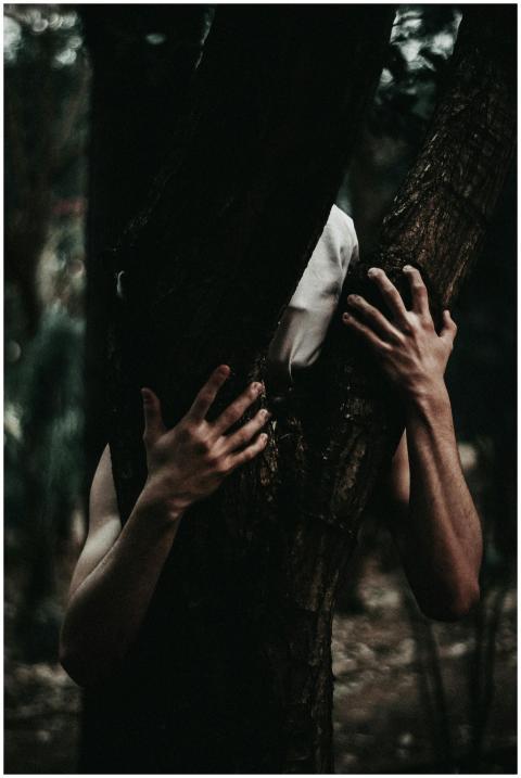 A person hidden behind a tree trunk in a dark fore
