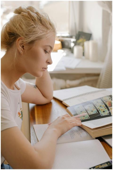 Focused young woman studying at home by the window