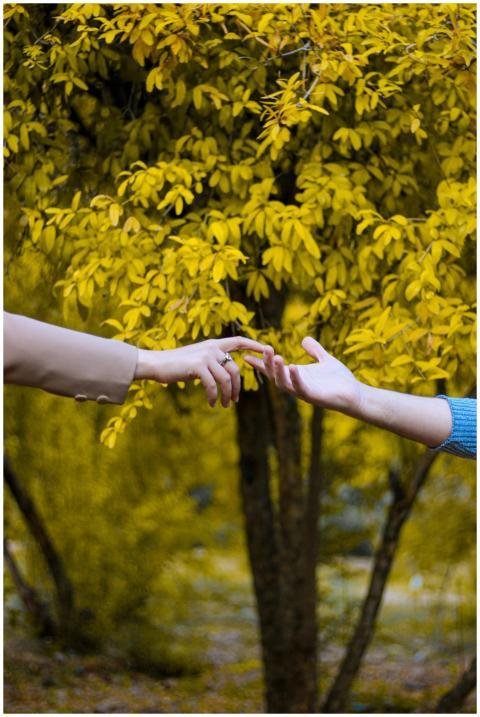Two people reaching for each other's hands against