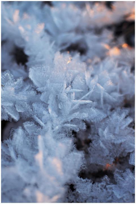 Detailed macro shot of delicate frost crystals sho