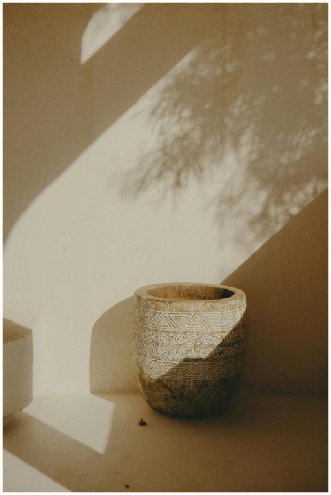 An artistic capture of a ceramic pot adorned with