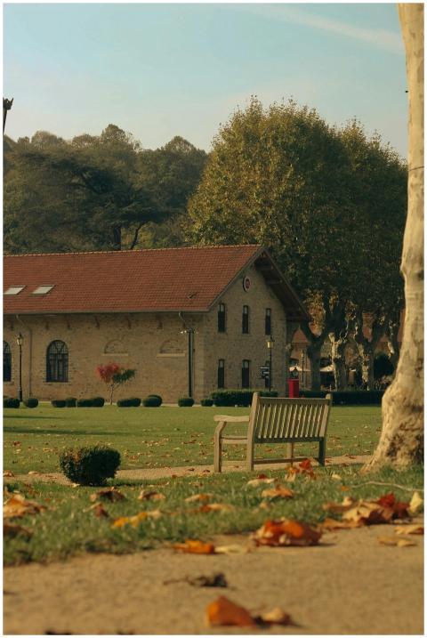Rustic house in a tranquil autumn park with fallen
