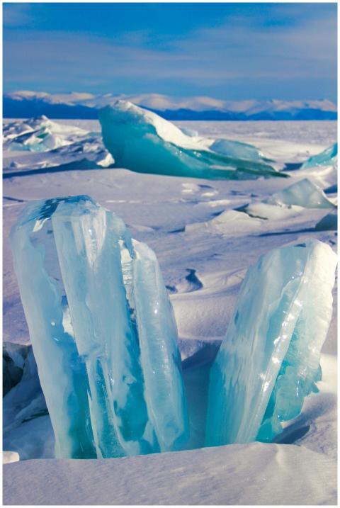 Majestic icebergs and a frozen landscape capture t