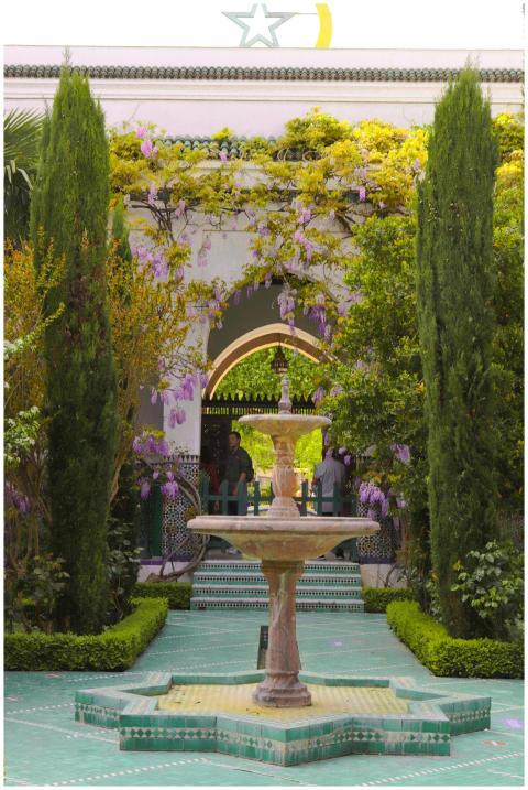 Explore a lush Parisian courtyard with a central s