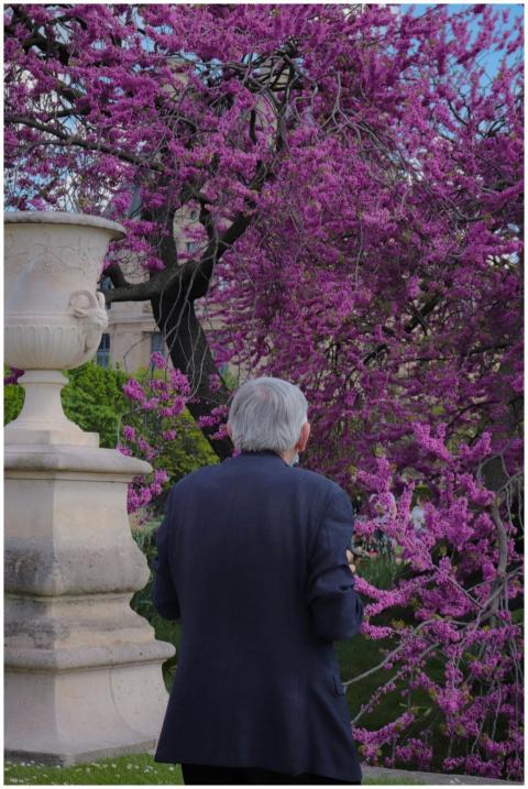 Senior man walking in a Paris park with vibrant pi