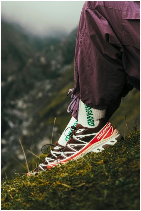 Free stock photo of salomon