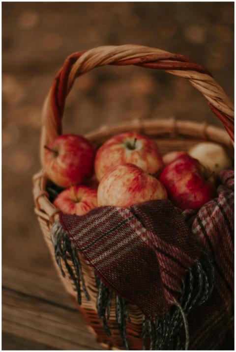 A warm autumnal scene featuring red apples in a wi