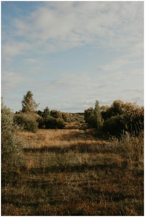 Golden fall landscape scene in Vileyka, Belarus wi