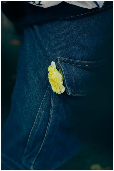 Free stock photo of aesthetic, aesthetic flowers,