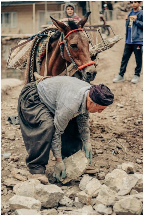 Elderly Kurdish man working with a mule in rural K