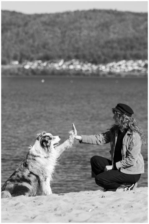 Free stock photo of 2025, 4k, 4k nature