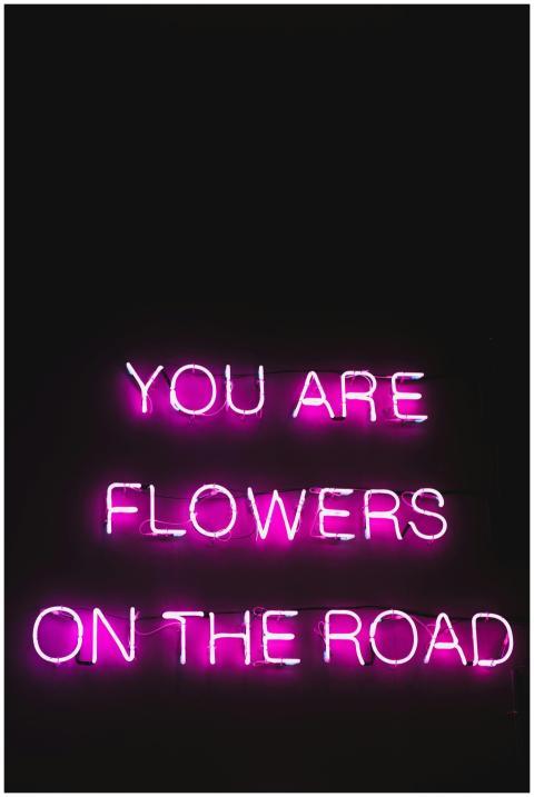Pink color neon glowing text with poetic and inspi