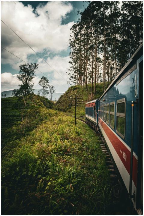 Beautiful scenic train ride through lush landscape