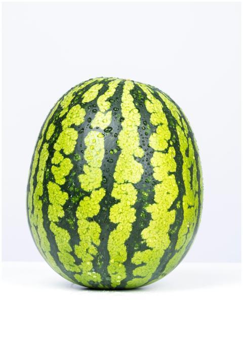 High-quality image of a fresh green watermelon wit