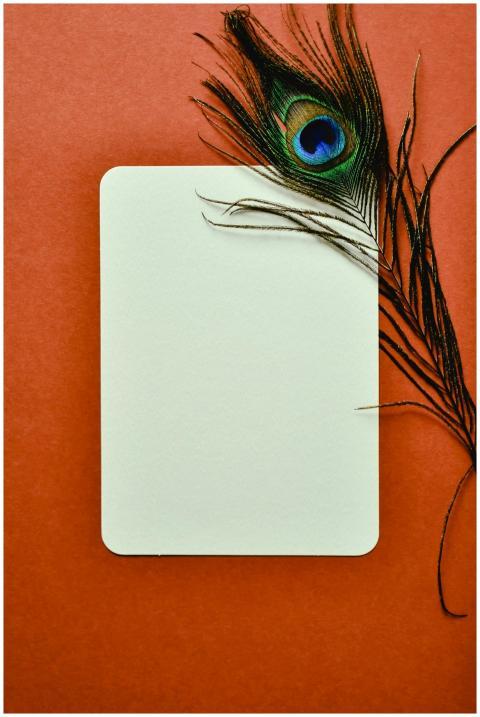 A blank card paired with a vivid peacock feather o