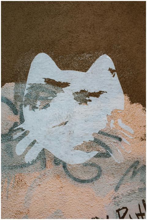 Artistic cat graffiti painted on a rough urban wal