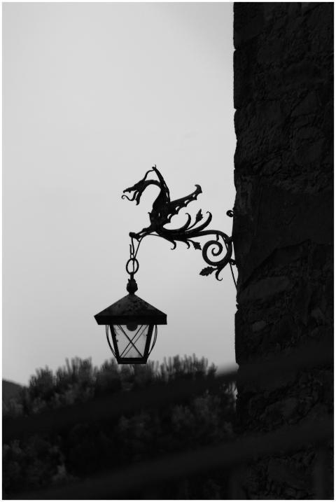 Elegant black and white photo of a vintage wrought