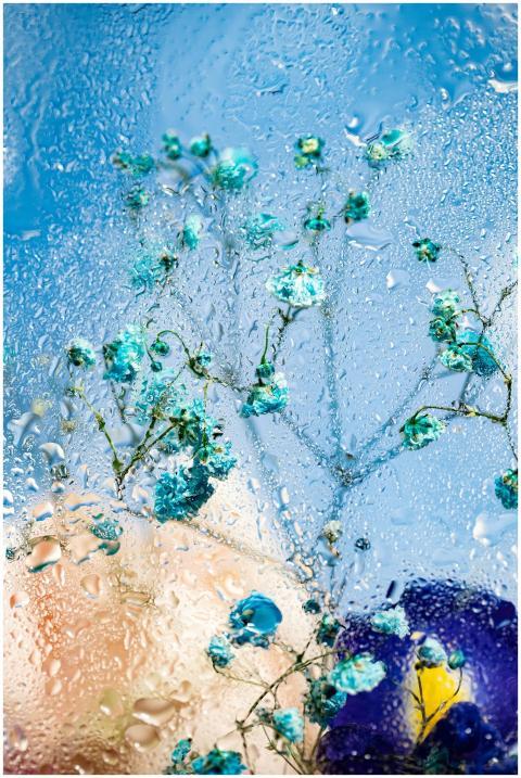 Blue flowers seen through rain-speckled glass agai