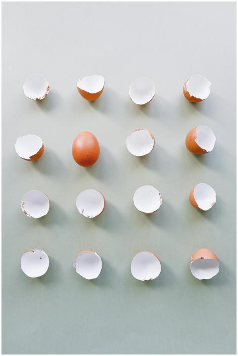 A creative still life composition featuring eggshe