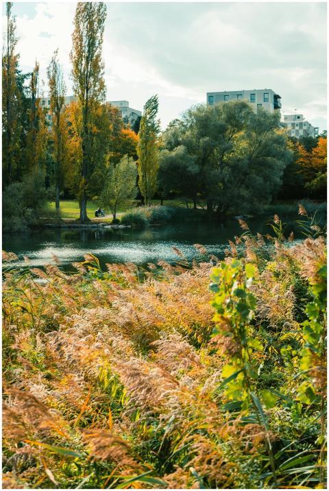 Free stock photo of autumn aesthetic, fall colors