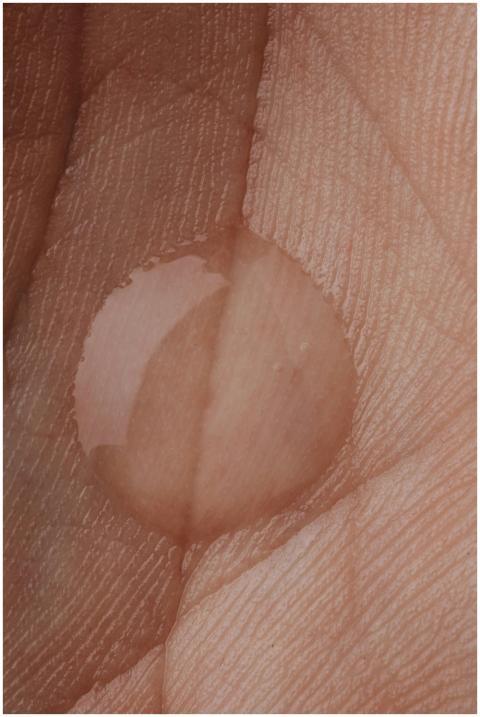 Detailed macro shot showcasing a water droplet on