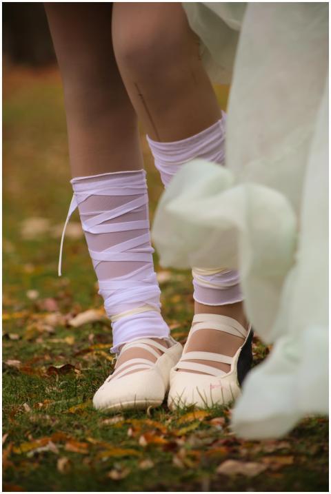 Free stock photo of lksimbapictures