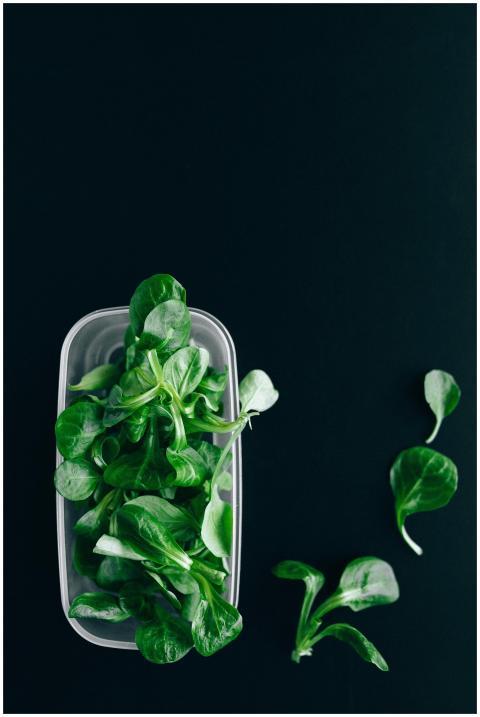 Fresh green leafy vegetables in a clear plastic co