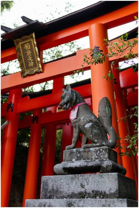 Fox statue at Fushimi Inari Shrine in Kyoto with v