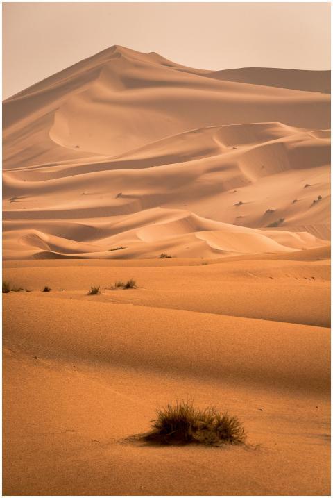 Beautifully captured sand dunes in the Sahara Dese