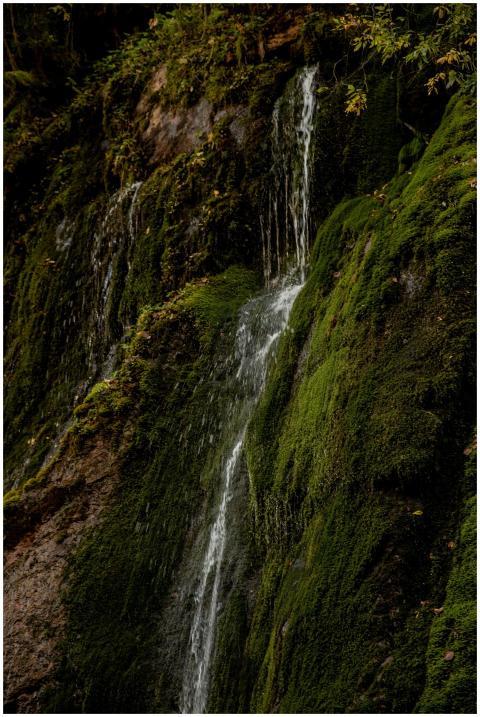Picturesque view of fast waterfall streaming down