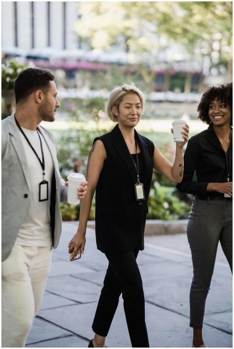 Three diverse business professionals walking and h