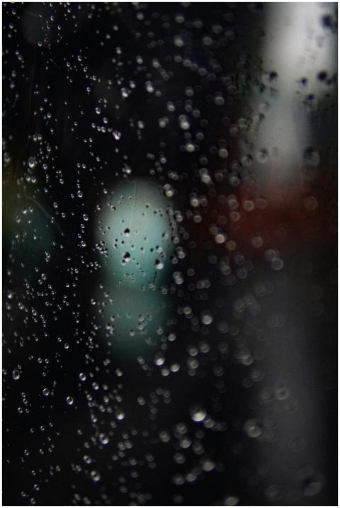 Free stock photo of aesthetic, after rain, after t