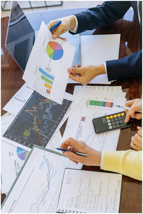 Business professionals analyzing financial charts