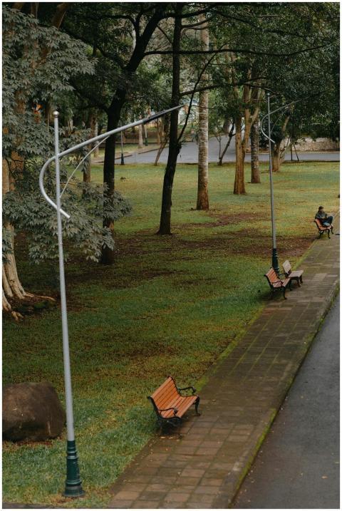 A peaceful park scene showing empty benches along
