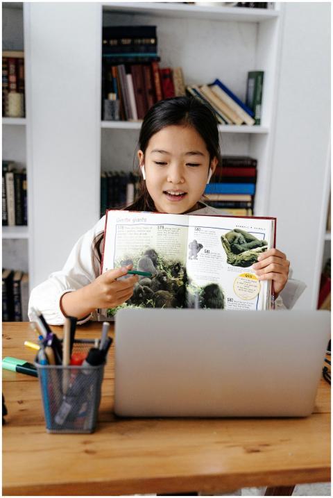 Girl studying online with a laptop and book, illus