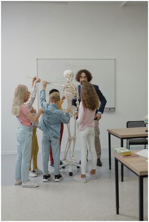 Students learn anatomy with skeleton model in a dy